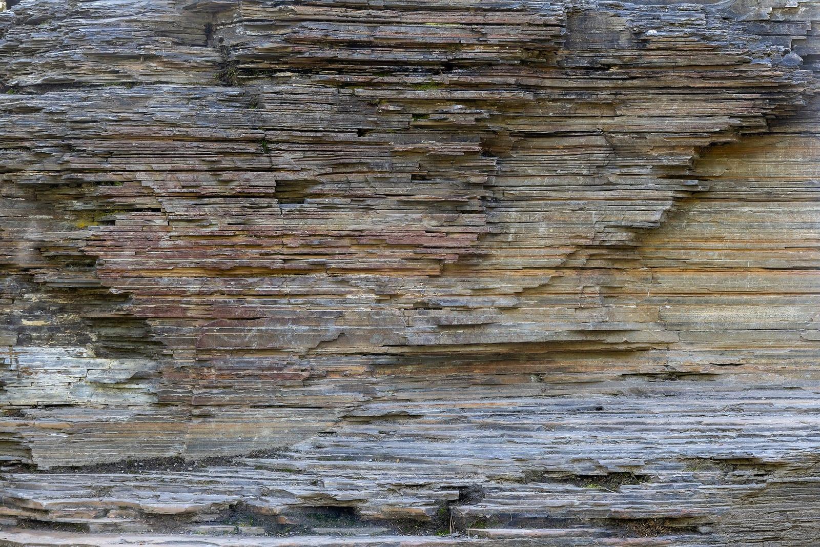Shale sedimentary