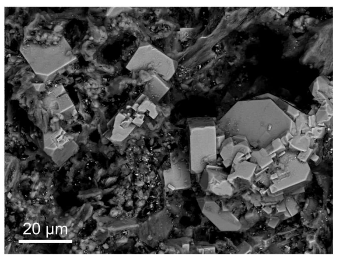 Sharyginite mineral