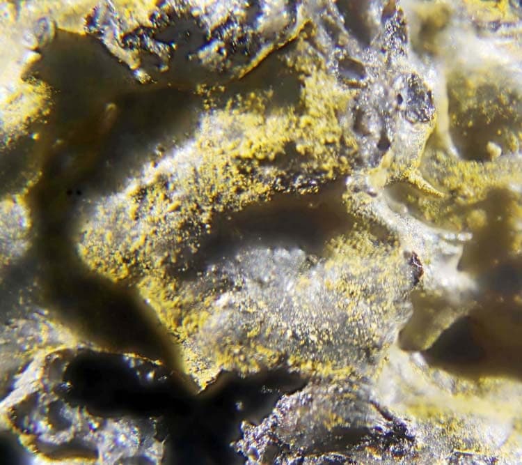 Shcherbinaite mineral