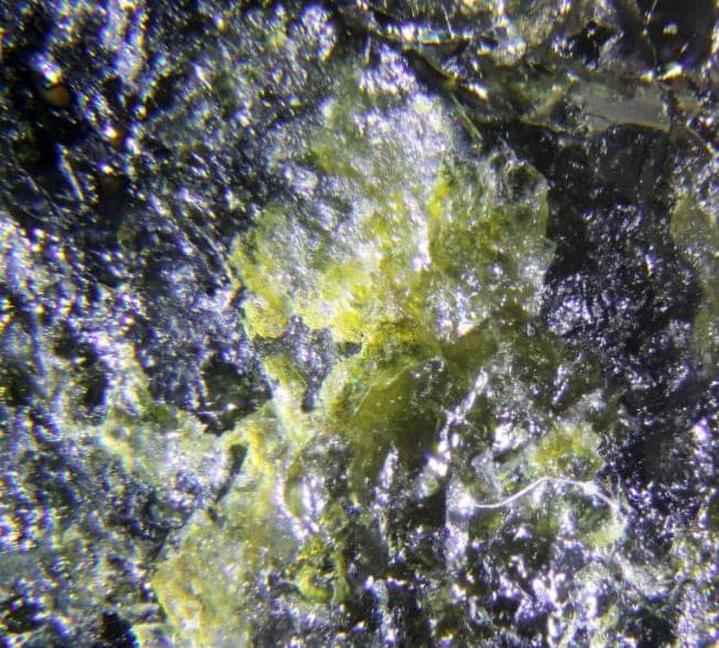 Sigismundite mineral