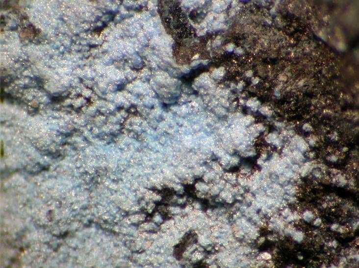 Spertiniite mineral