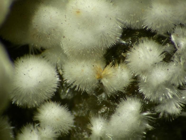 Strontiodresserite mineral
