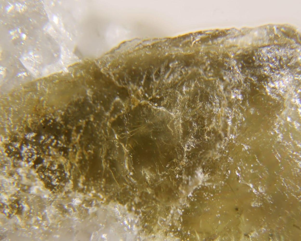 Swinefordite mineral