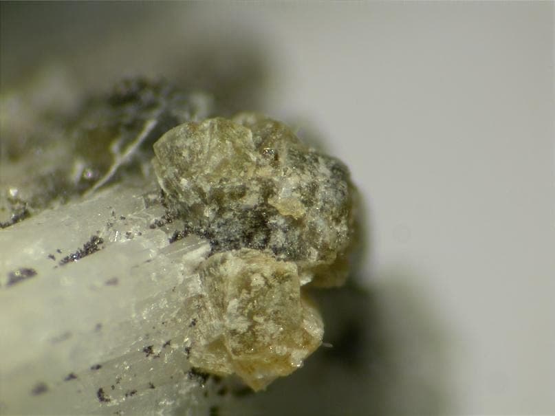 Thomasclarkite-(Y) mineral — Thomasclarkite (Y)