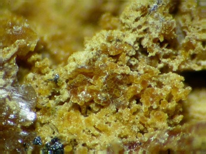 Tinsleyite mineral