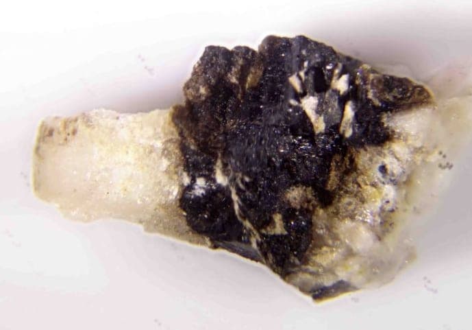 Torreyite mineral