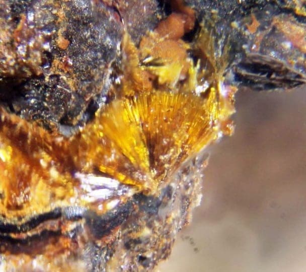 Tristramite mineral