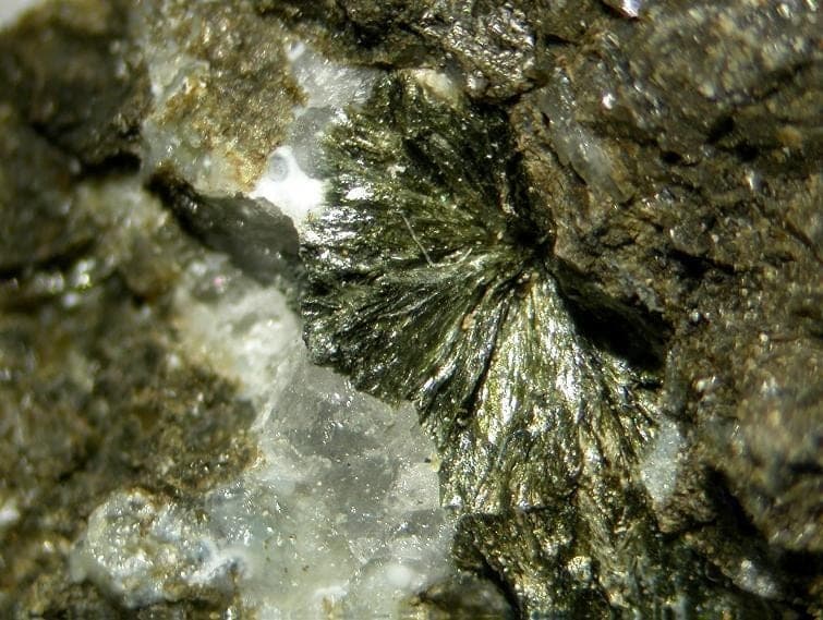 Tungusite mineral