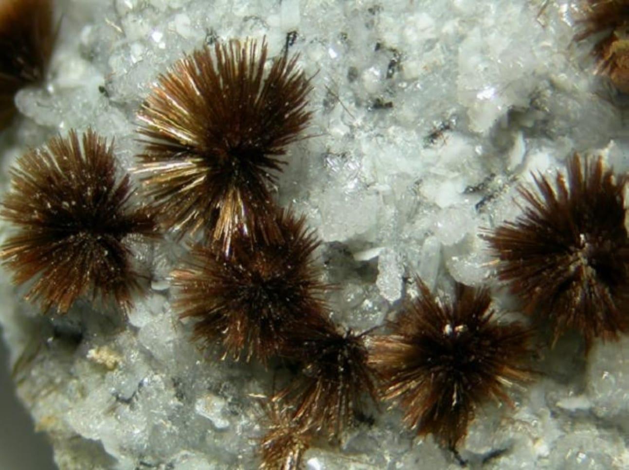 Tuperssuatsiaite mineral