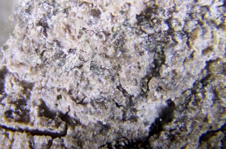Tvalchrelidzeite mineral