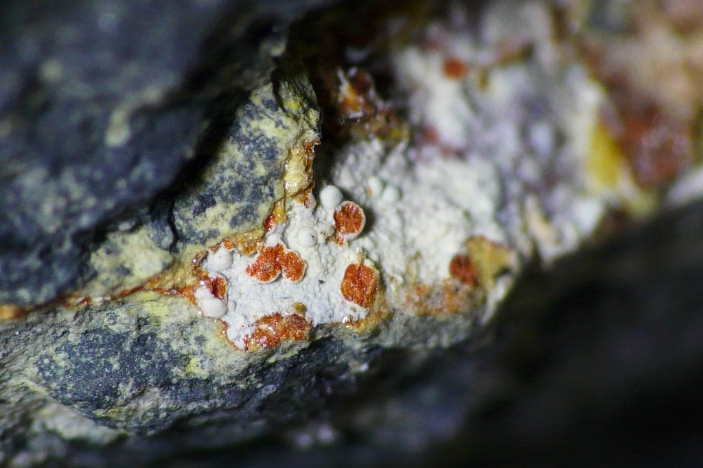 Umohoite mineral