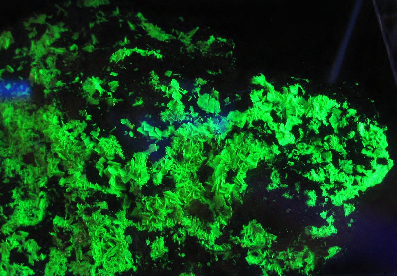 Uranopilite mineral