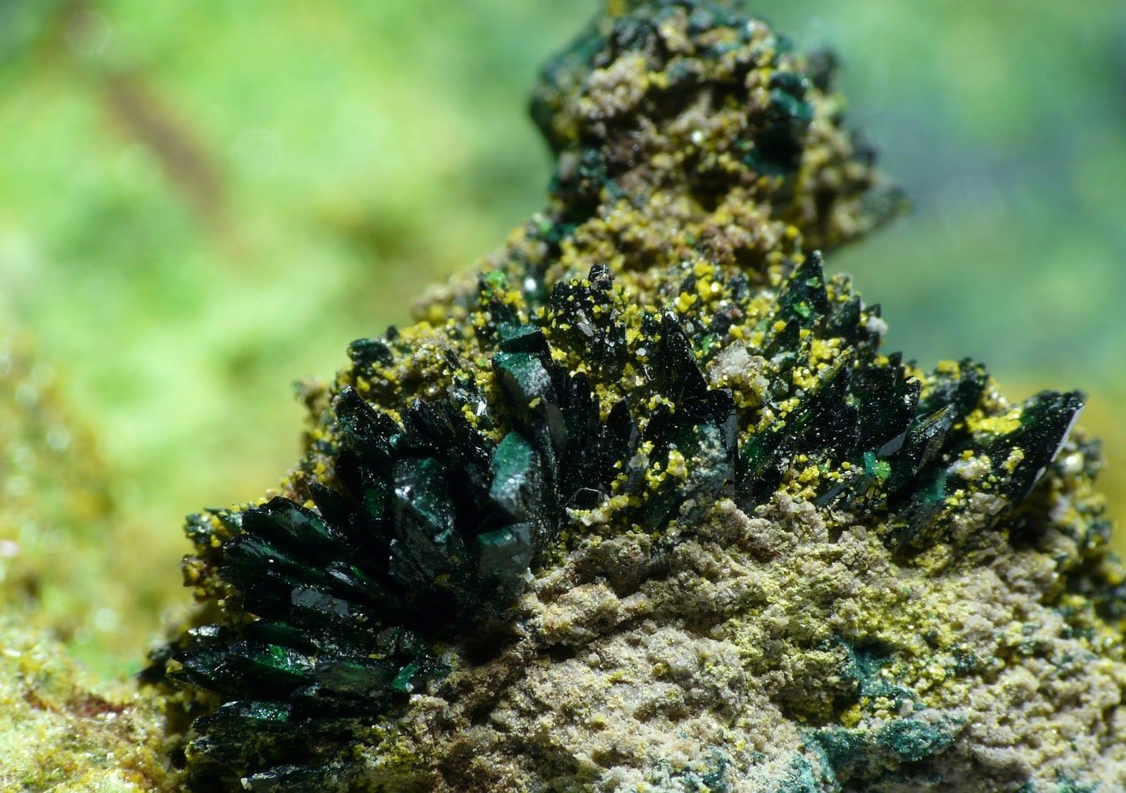 Vandenbrandeite mineral