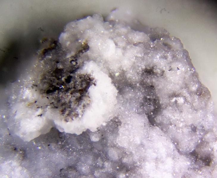 Vanthoffite mineral