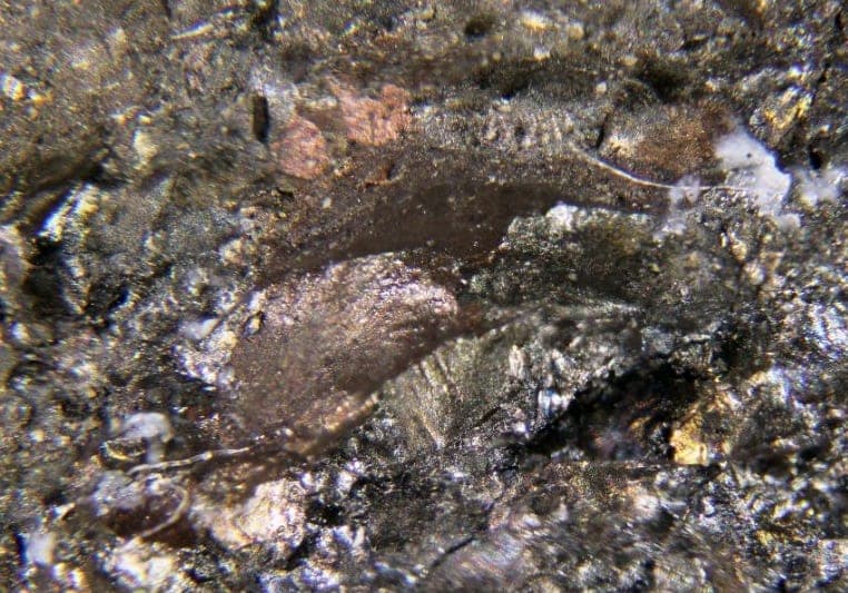 Vinciennite mineral