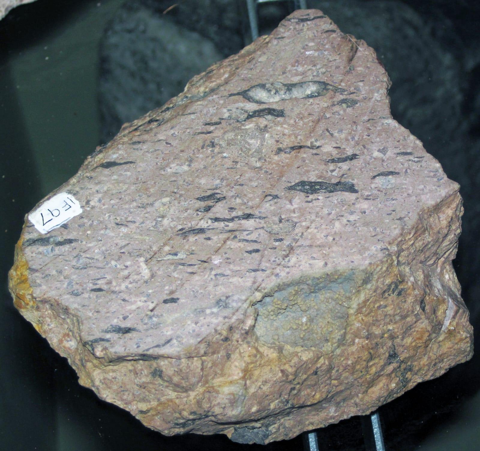 Welded Tuff igneous