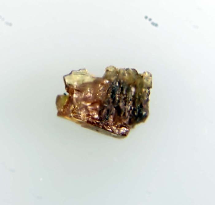 Zimbabweite mineral