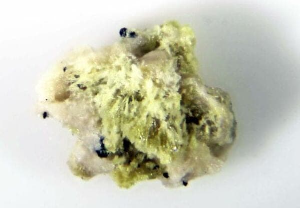 Zodacite mineral