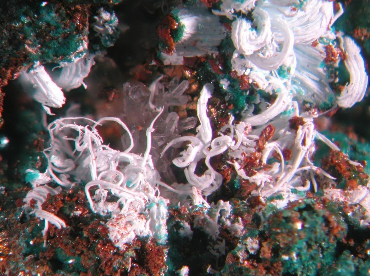 Bianchite mineral — Mineralatlas Lexikon Bianchit (english Version)