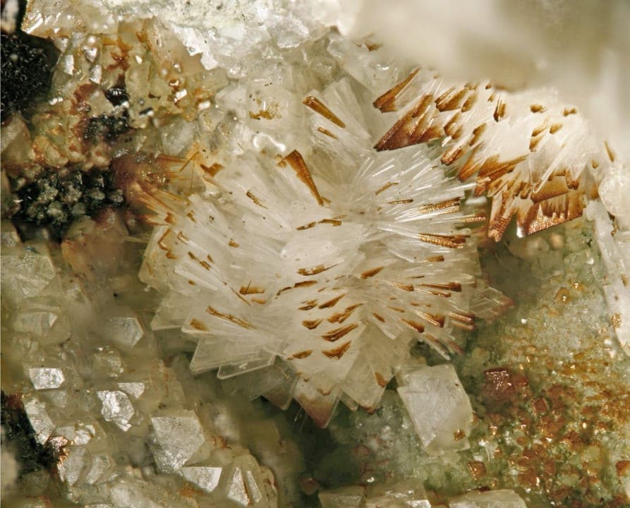 Eudidymite mineral