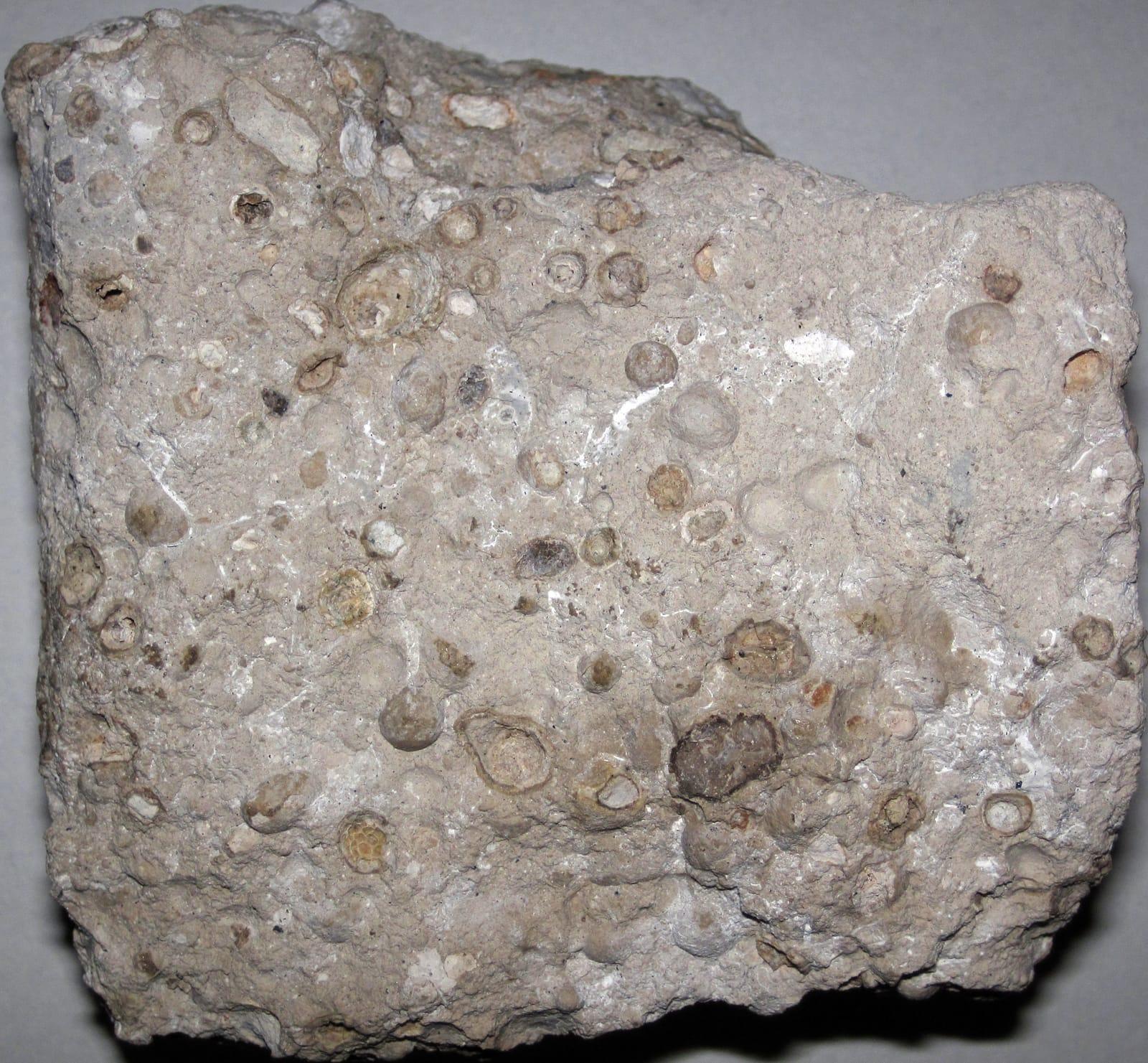 Pisolitic bauxite (Alcoa Bauxite Mine, Arkansas, USA) 1 at Bauxite Quarries, Saline County, Arkansas