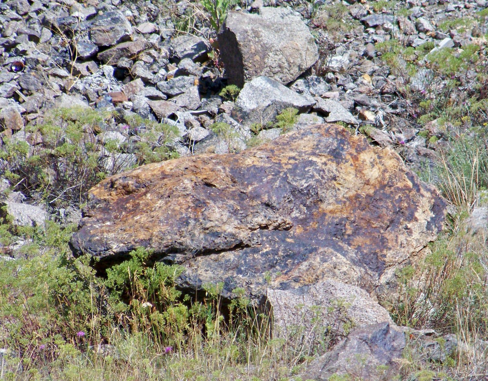 Mn oxide & Fe oxide stained Butte Quartz Monzonite (Orphan Boy Mine, Butte, Montana, USA) at Yellville Mines, Marion County, Arkansas