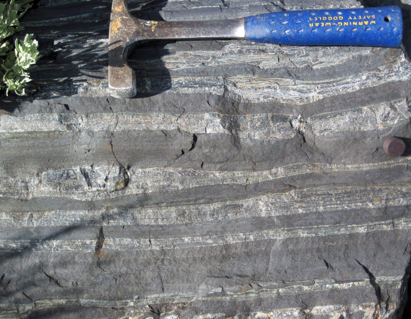 Magnetite quartz meta iron formation (Goldman Meadows Formation, Mesoarchean, 2.87 Ga; Atlantic City Iron Mine, Wind River Range, Wyoming, USA) 4 (21189679512) at Atlantic City, Fremont County, Wyoming