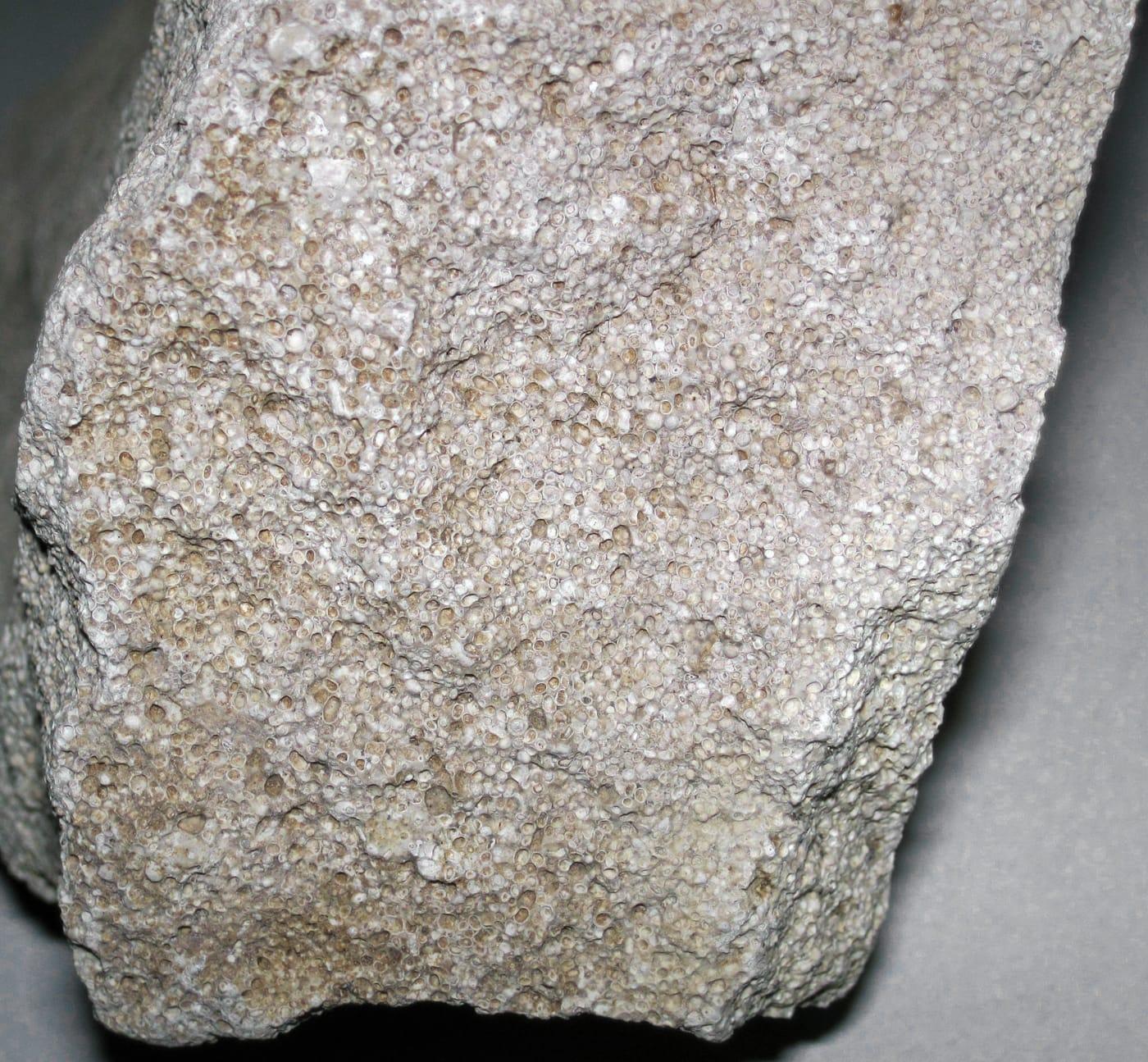 Lacustrine oolitic limestone (Green River Formation, Eocene; near Tipton, Wyoming, USA) 3 at Sweetwater River, Fremont County, Wyoming