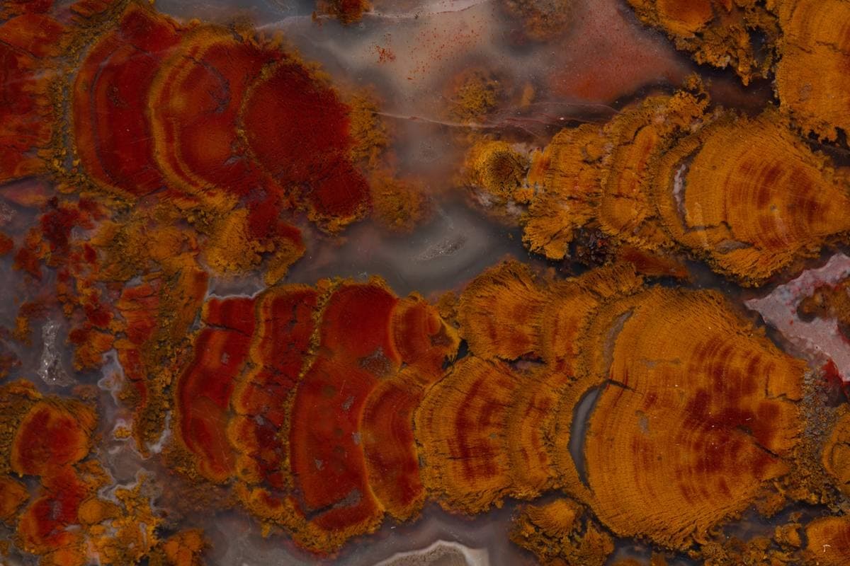 Brown Jasper mineral