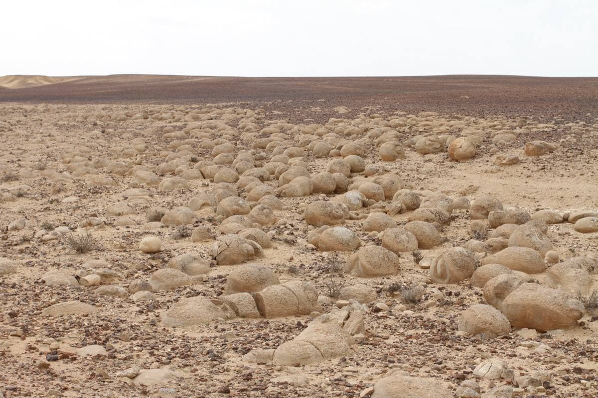 Concretion sedimentary