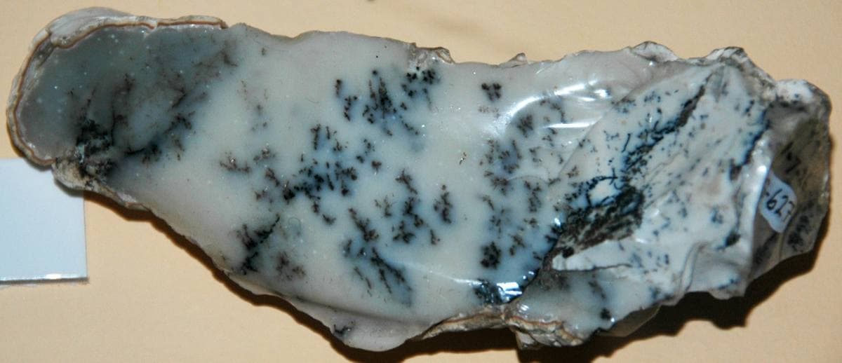 Moss Opal mineral