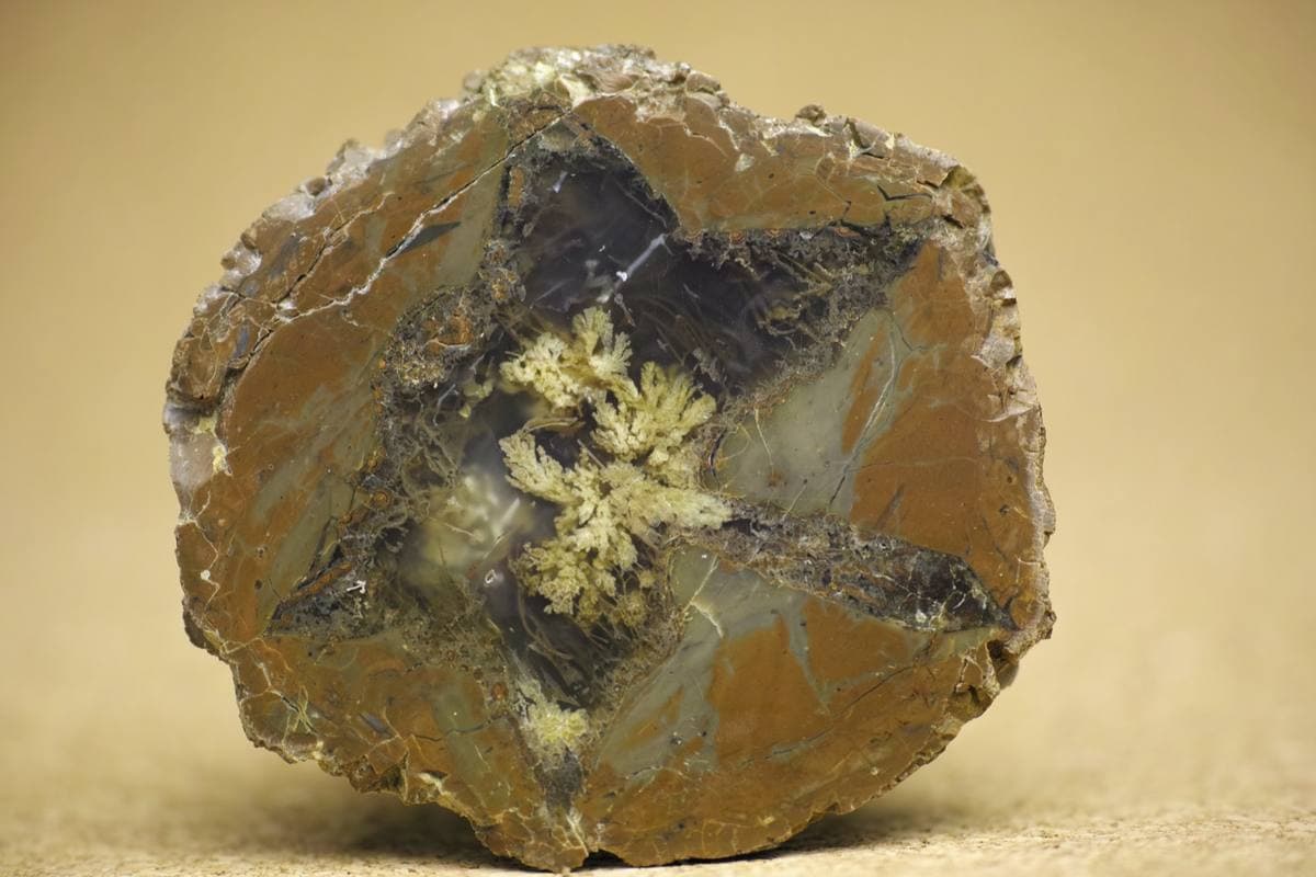 Priday Plume Agate gemstone