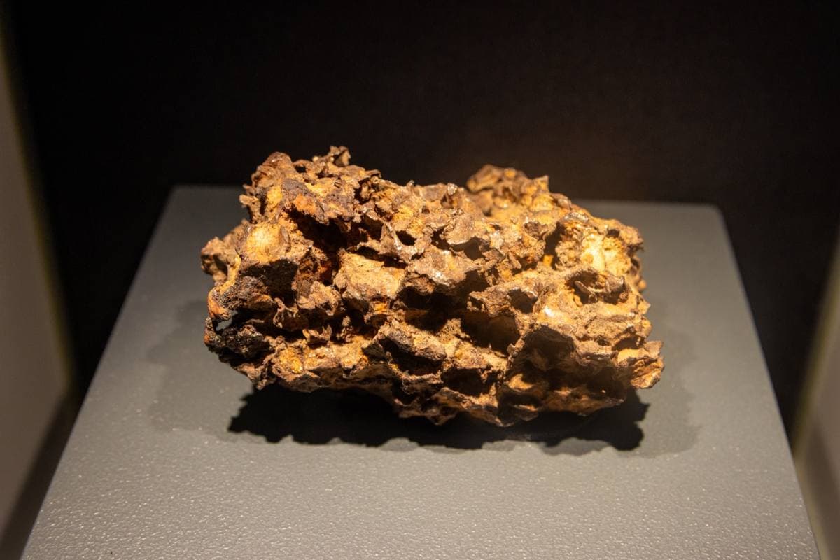 Stony-Iron Meteorite fossil