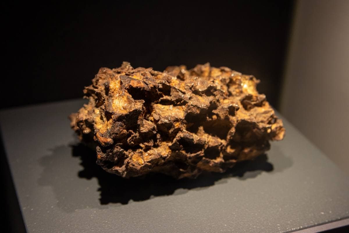 Stony-Iron Meteorite fossil