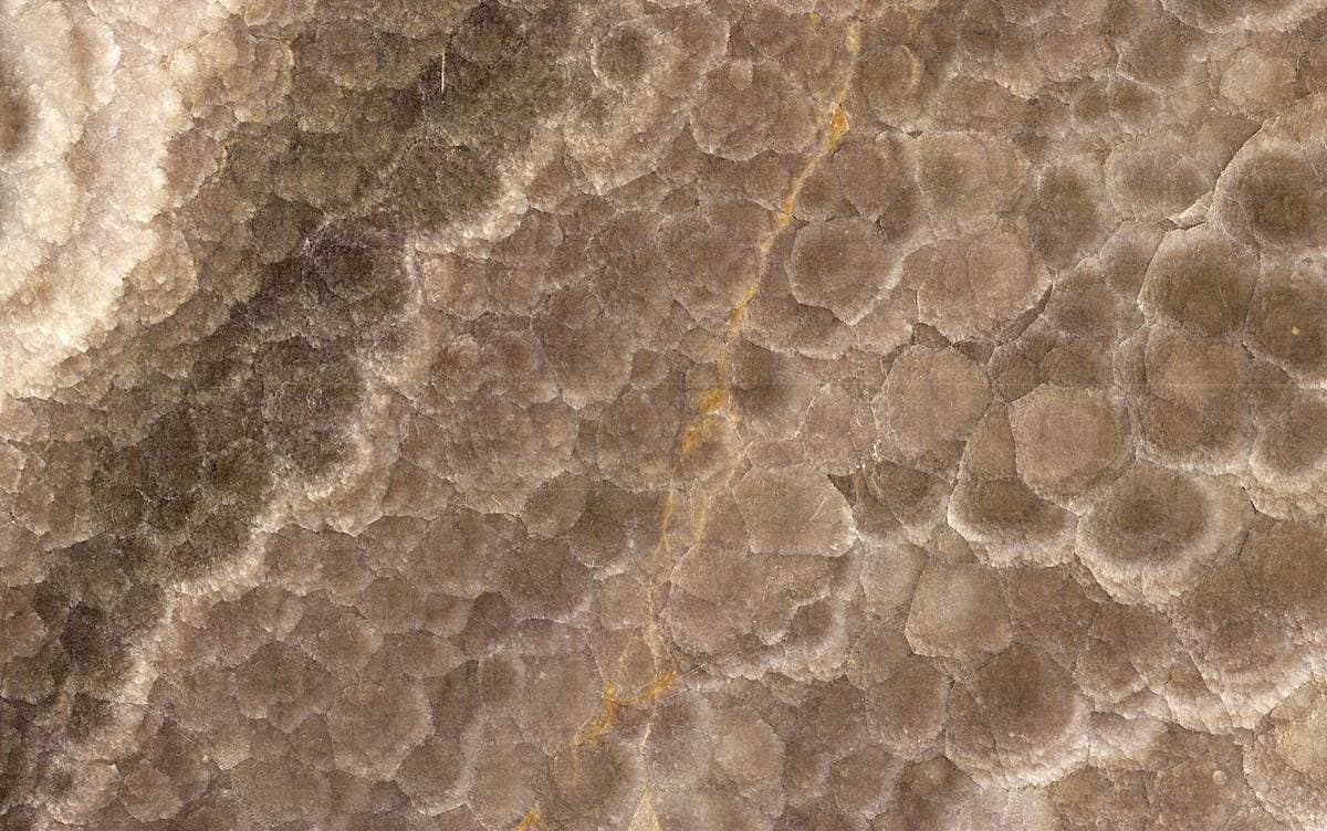 Travertine sedimentary