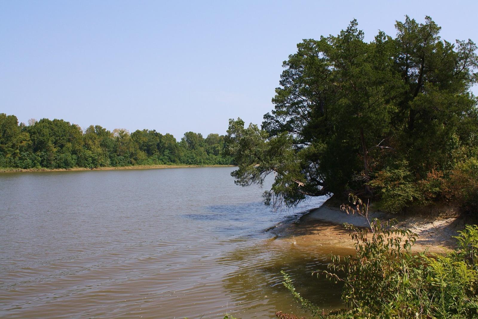 A sandbar on the Tombigbee River at Demopolis, Marengo County, Alabama