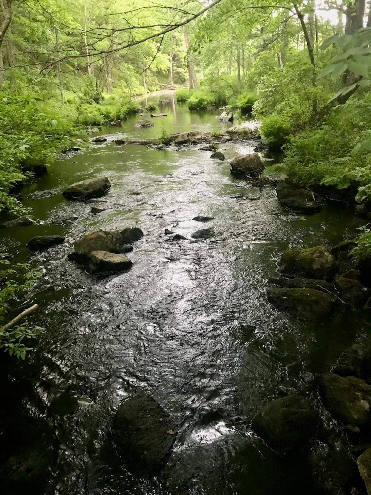 Woodland stream in Meshomasic State Forest near the Clark Hill quarries, East Hampton, Connecticut