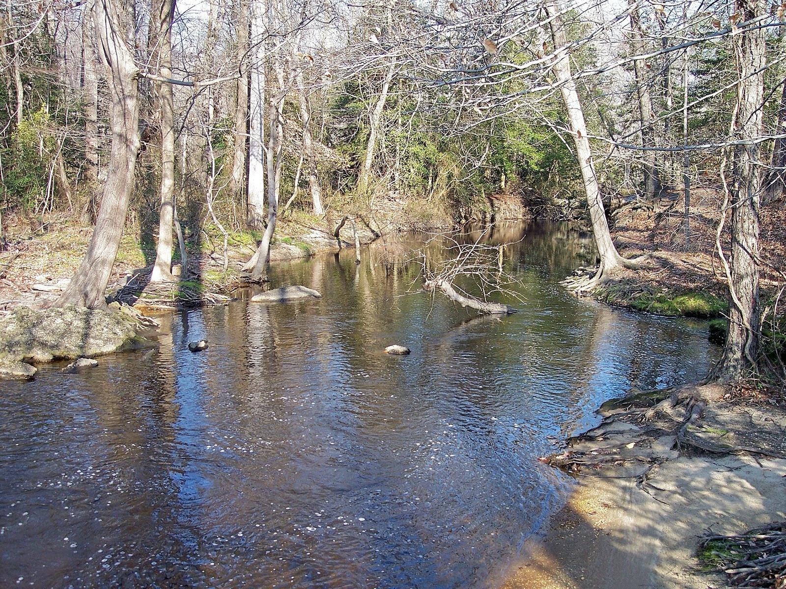 The Murderkill River in Kent County, Delaware, the same drainage as Coursey Pond a short distance upstream; shown here at Killens Pond, not Coursey Pond itself.