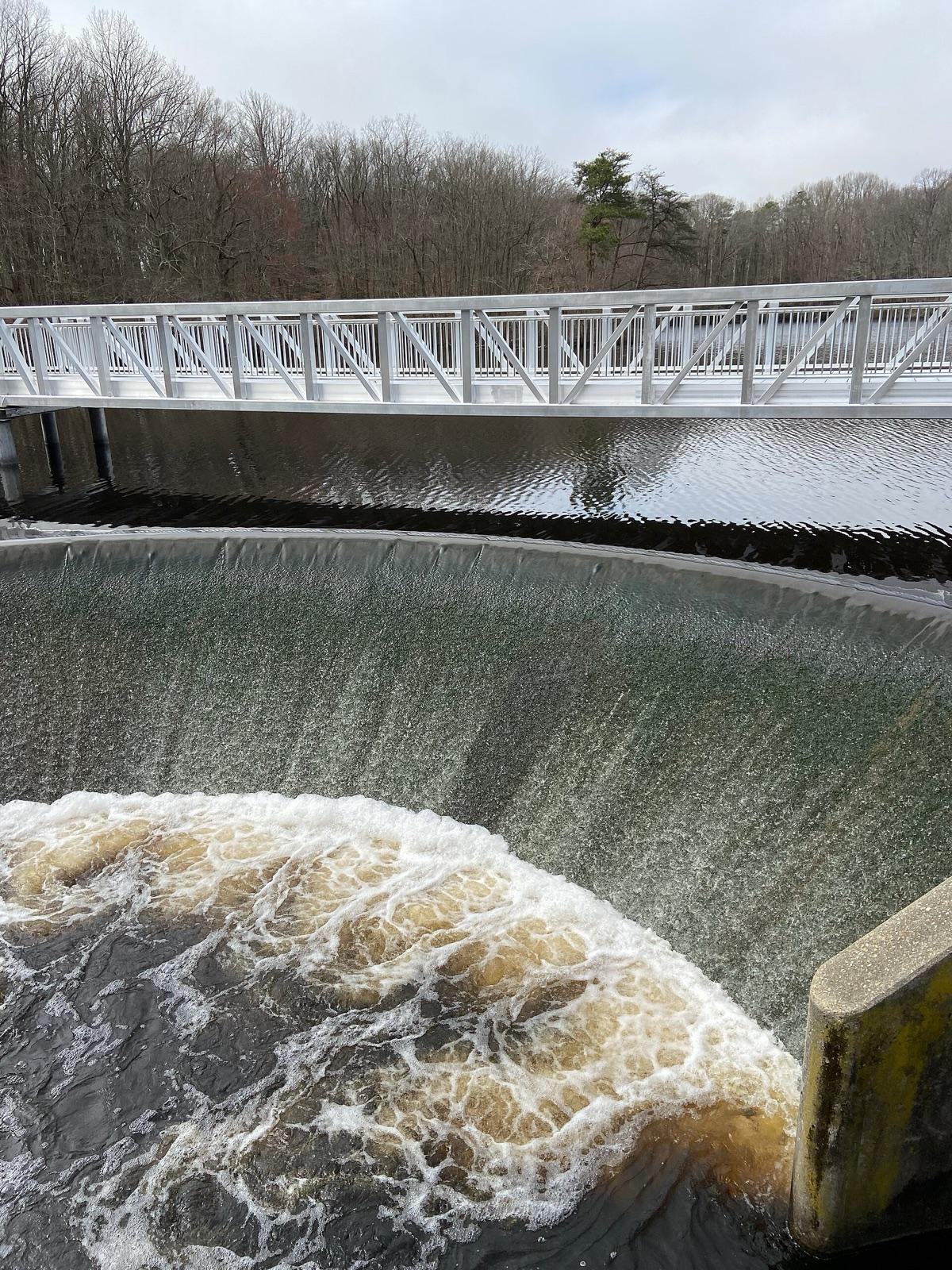 The dam and spillway at Killens Pond State Park near Felton, Kent County, Delaware, where Miocene fossils weather from the pond banks.