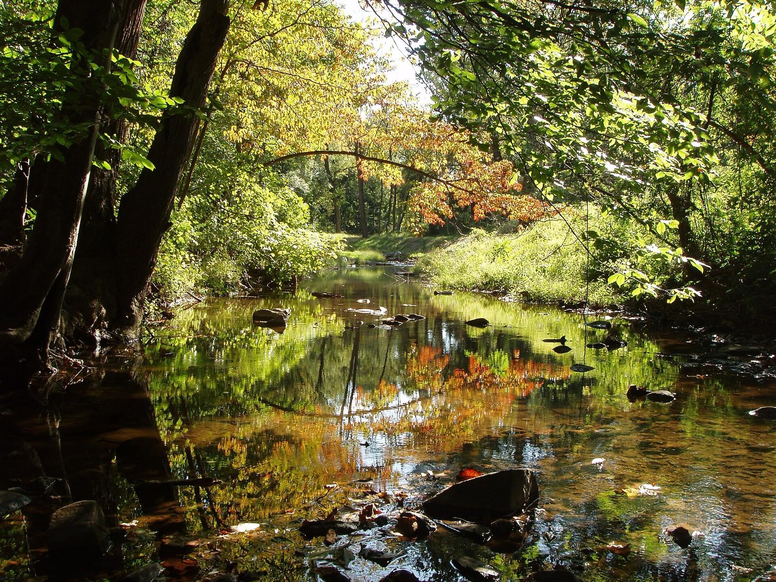 Wooded autumn landscape in Brandywine Springs Park west of Wilmington, New Castle County, Delaware, in the Piedmont hills that are the type area for sillimanite, the state mineral.