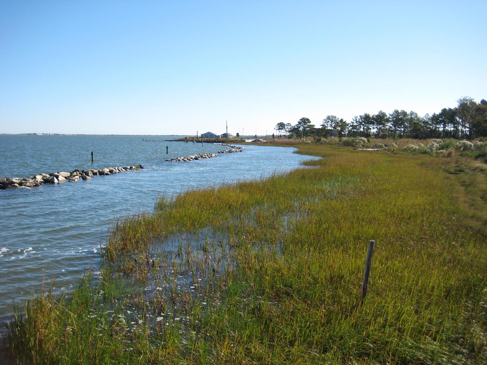 Indian River Bay seen from Holts Landing State Park, Sussex County, Delaware, the bay that Pepper Creek drains into; shown here is the bay, not Pepper Creek itself.