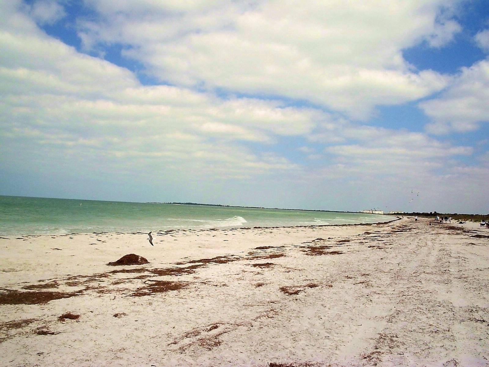 Gulf beach near Dunedin at Caladesi Island, Pinellas County, Florida