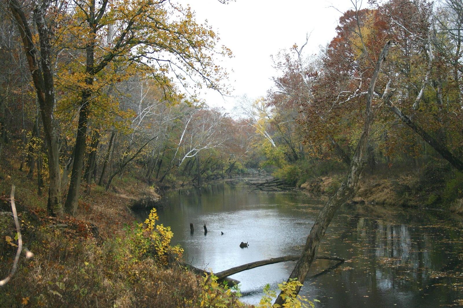 The Clarks River in Graves County, in the Jackson Purchase gravel-agate region of far-western Kentucky