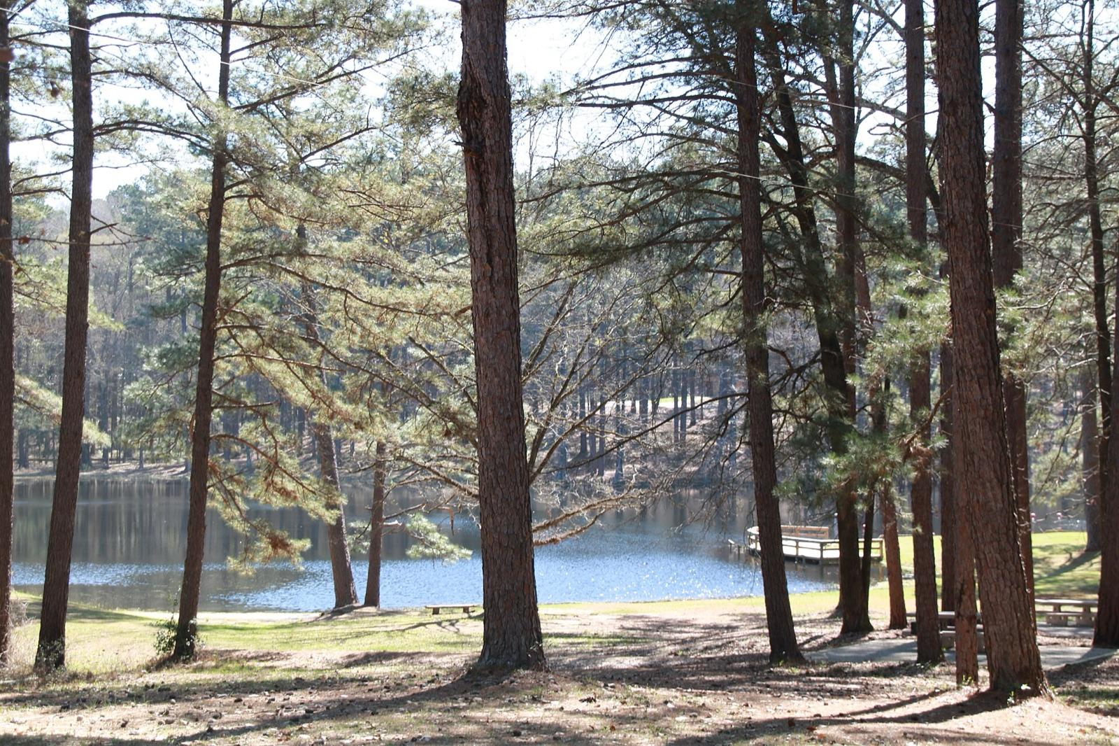 Stuart Lake in the Catahoula Ranger District of Kisatchie National Forest near Pollock, Grant Parish, Louisiana