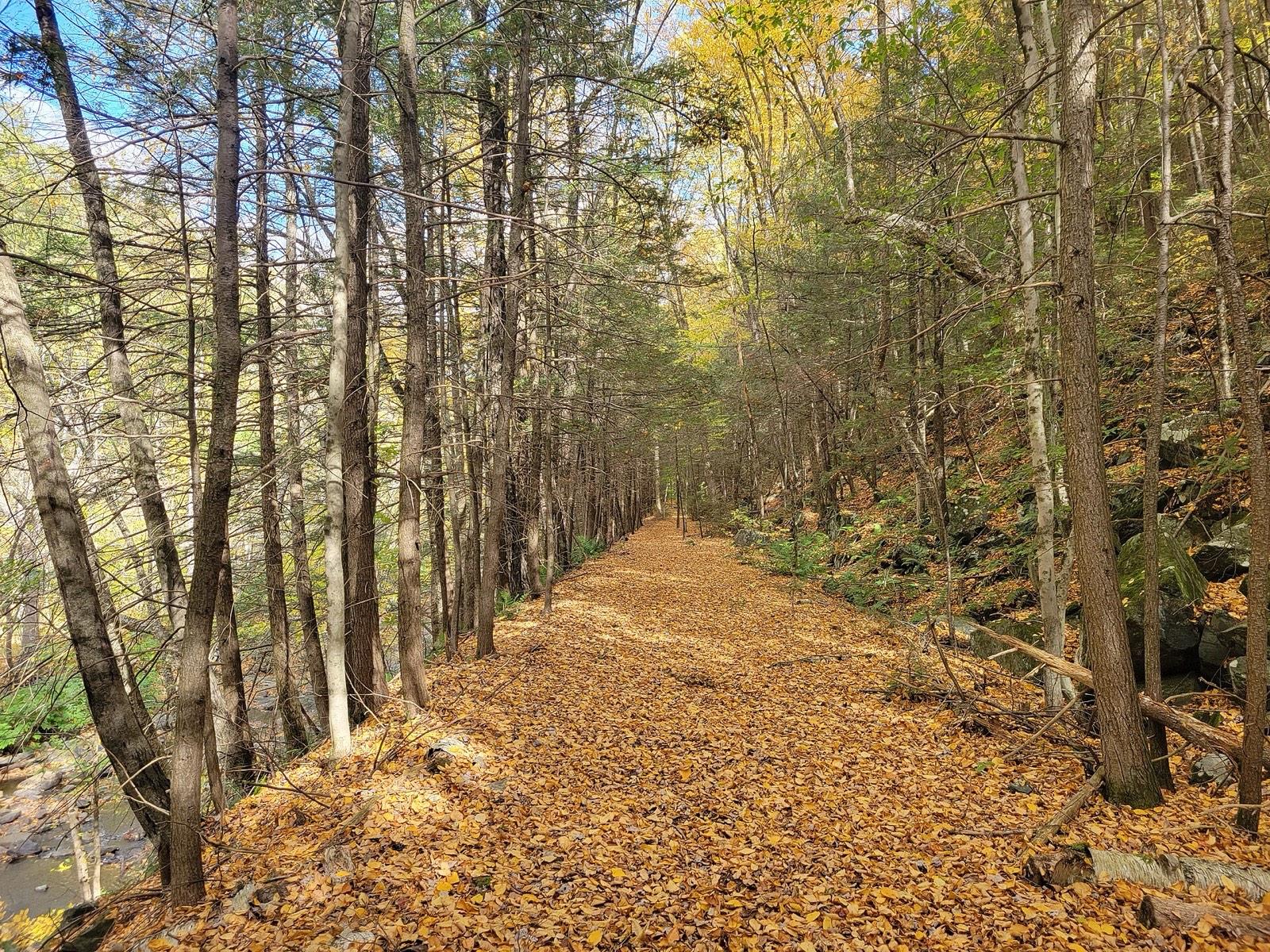 Wooded hillside trail through the forest at Chester, Hampden County, Massachusetts, near the historic emery mines
