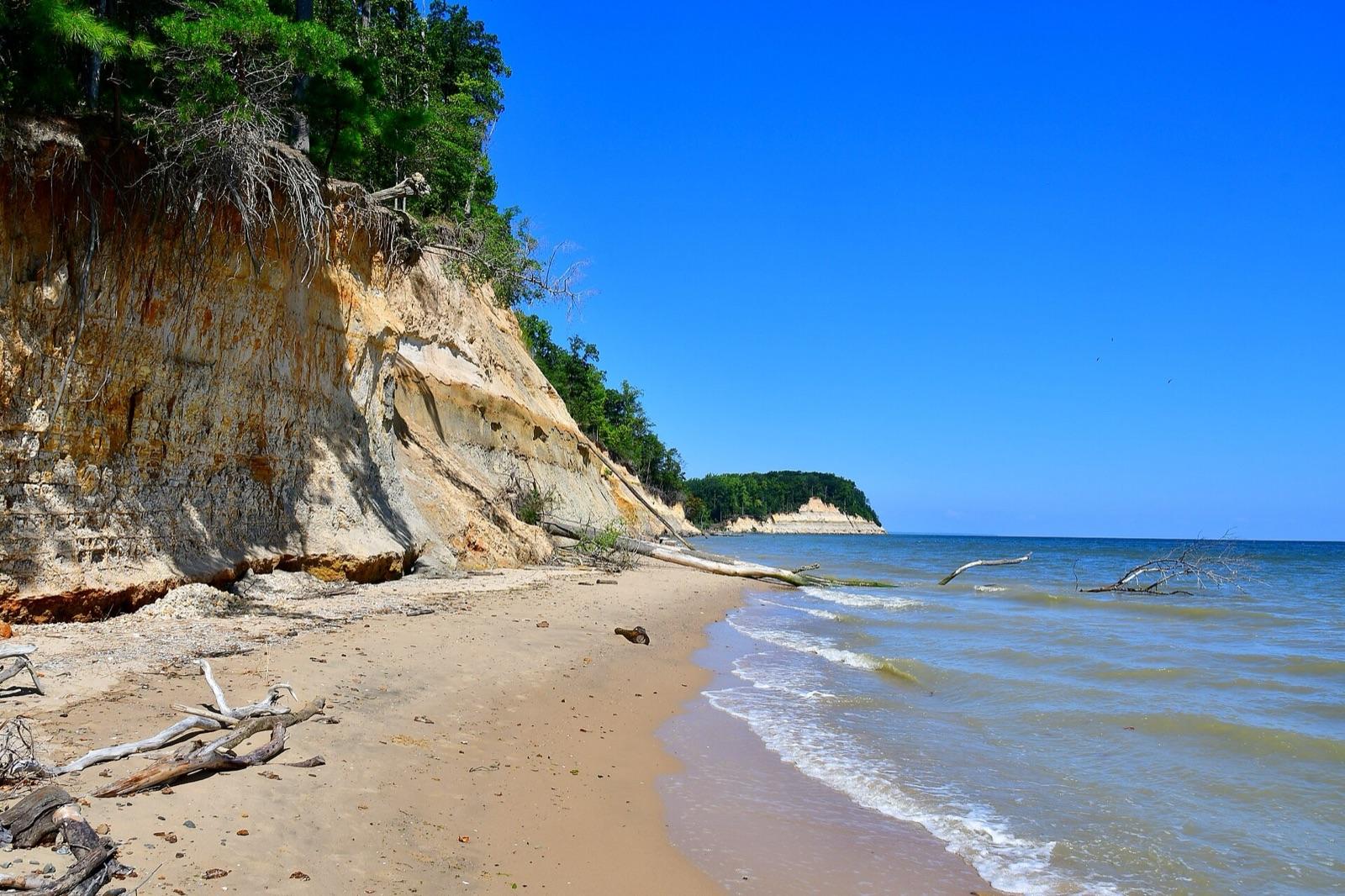 Fossil-bearing cliffs and beach along the Chesapeake Bay at Calvert Cliffs State Park, Calvert County, Maryland