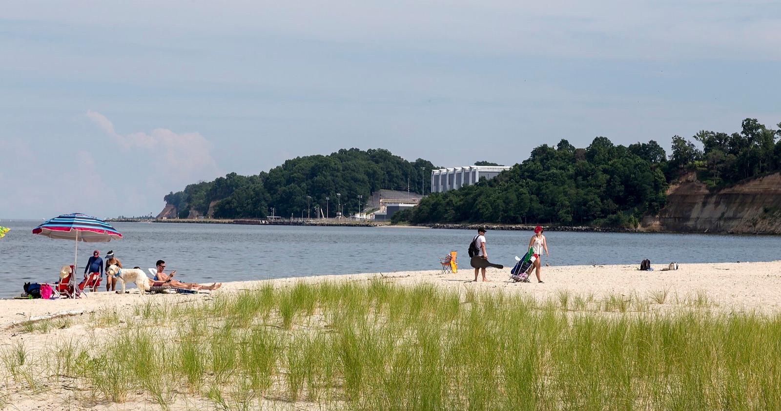 Beach and Miocene cliffs along the Chesapeake Bay at Flag Ponds Nature Park, Calvert County, Maryland