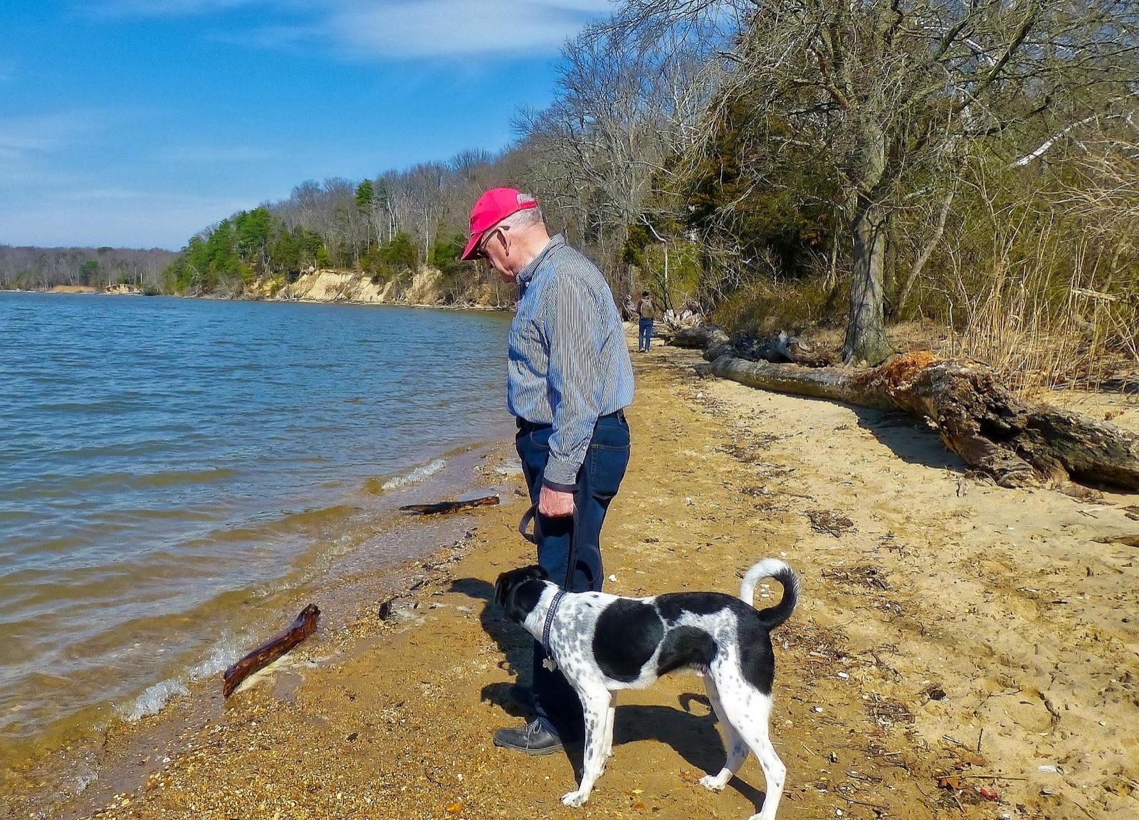 Potomac River beach and eroding bank at Purse State Park, Charles County, Maryland