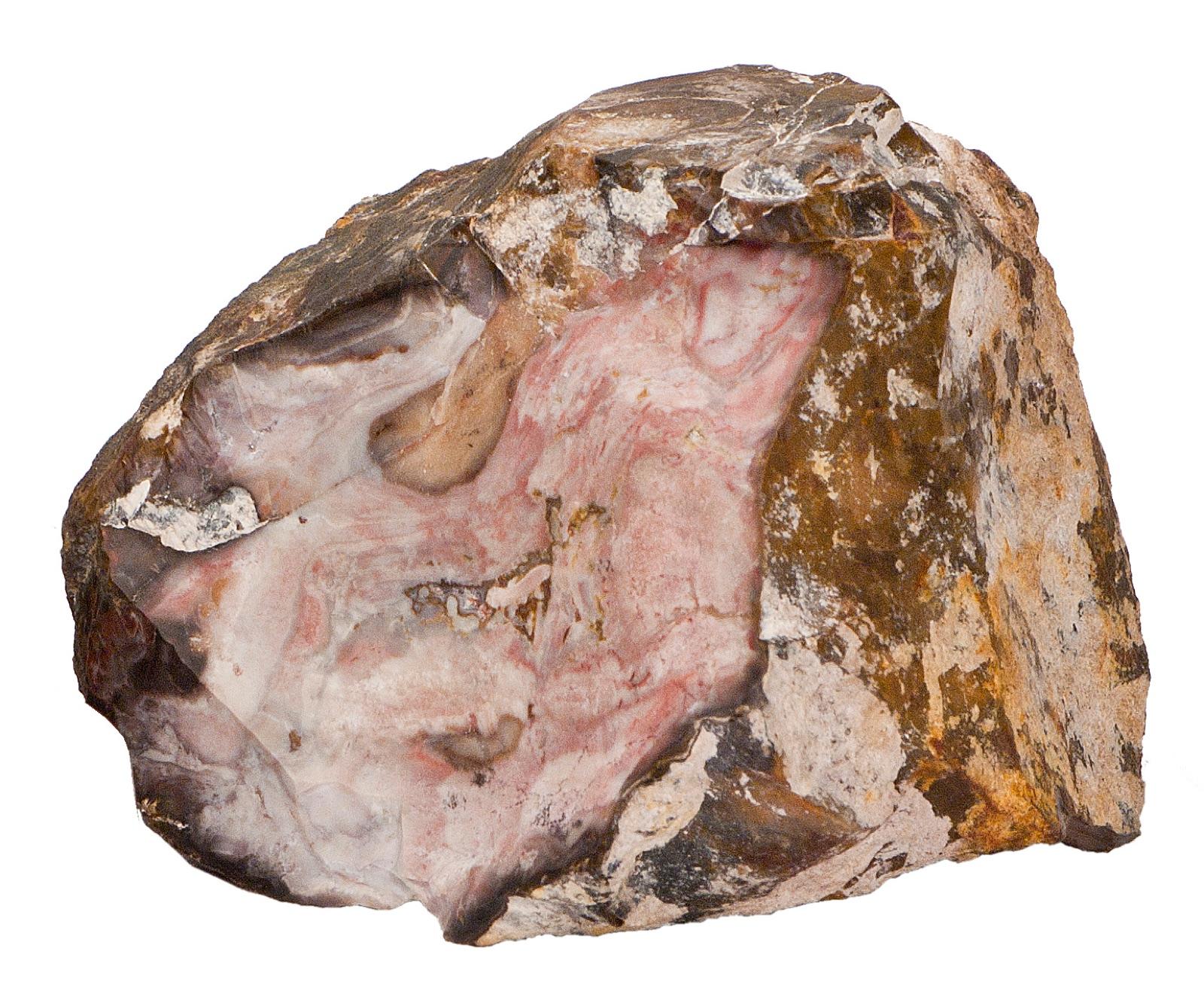 A broken mozarkite cobble with a pink and cream gem chert interior under a dull weathered exterior, the banded gem chert that turns up on Truman Reservoir shorelines and in gravels around Warsaw.