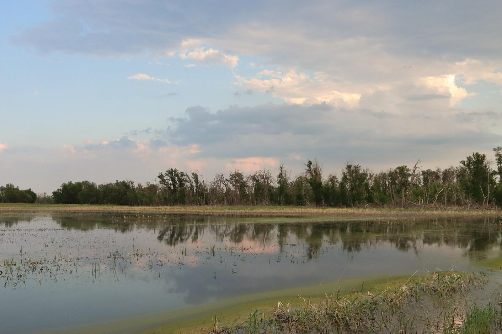 Wetland and prairie along the Souris River at J. Clark Salyer National Wildlife Refuge, McHenry County, North Dakota
